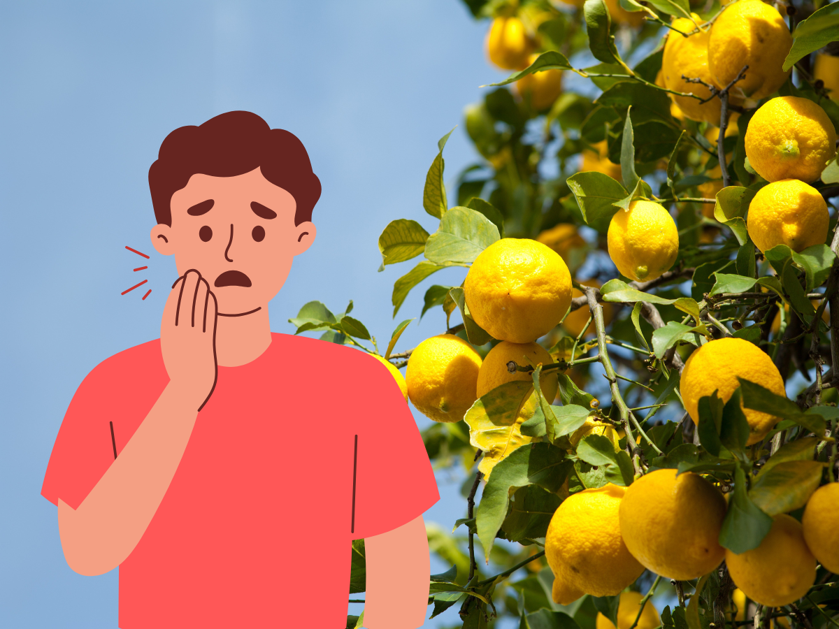 学芸大学の歯医者・玄和堂歯科診療所　ブログ　虫歯はないから安心は危険　酸で歯が溶ける「酸蝕歯」について